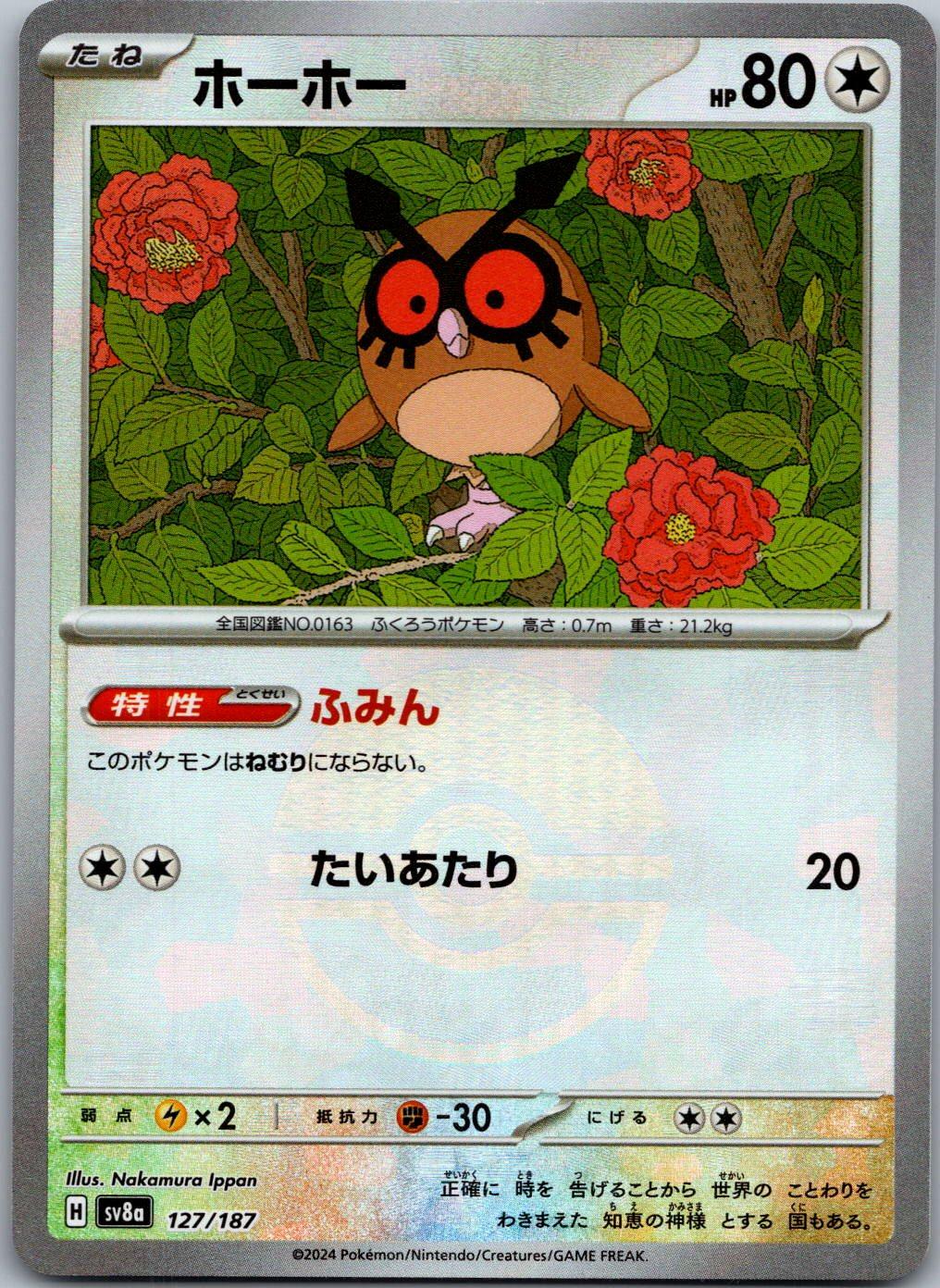 Hoothoot 127/187 Poke Ball Terastal Festival Pokemon Japanese Holo Near Mint