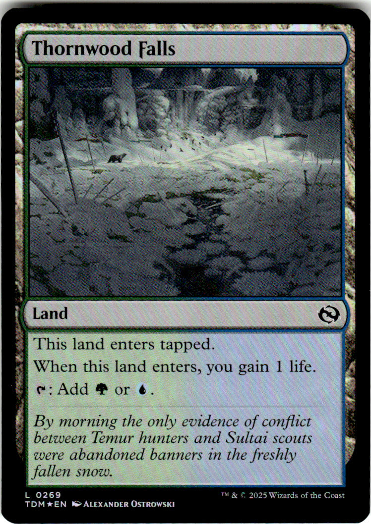 Thornwood Falls Tarkir: Dragonstorm 269 L Foil Magic: The Gathering Near Mint