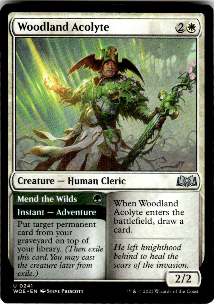 Woodland Acolyte Wilds of Eldraine 241 U Magic: The Gathering Near Mint