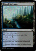 Dismal Backwater Tarkir: Dragonstorm 254 L Foil Magic: The Gathering Near Mint