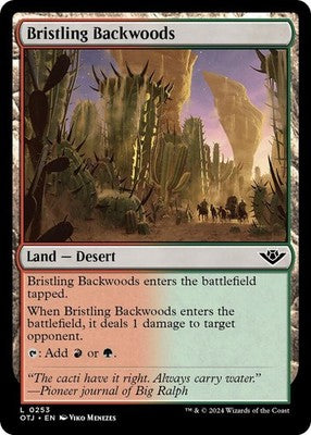 Bristling Backwoods OTJ 253 NM Magic: The Gathering