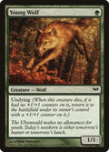 Young Wolf DKA 134 LP Magic: The Gathering