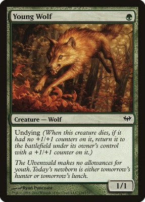 Young Wolf DKA 134 LP Magic: The Gathering