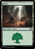 Forest OTJ 285 NM Magic: The Gathering