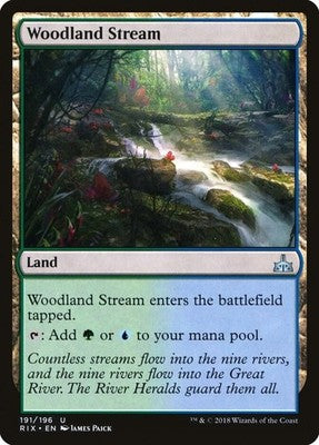 Woodland Stream RIX 191 NM Magic: The Gathering