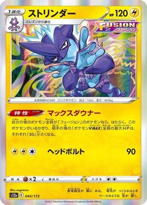Toxtricity 044/172 S12a: VSTAR Universe Holofoil Pokémon TCG
