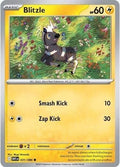 Blitzle 031/086 SV: White Flare Reverse Holofoil Pokémon TCG