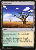 Grasslands DMC 214 NM Magic: The Gathering