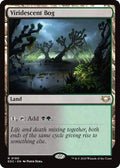 Viridescent Bog EOC 190 NM Magic: The Gathering