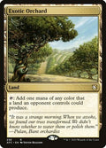 Exotic Orchard AFC 236 NM Magic: The Gathering