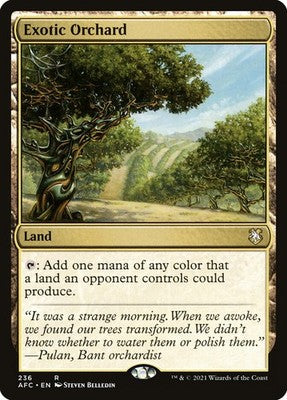 Exotic Orchard AFC 236 NM Magic: The Gathering
