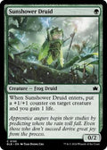 Sunshower Druid BLB 195 NM Magic: The Gathering
