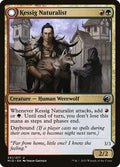 Kessig Naturalist // Lord of the Ulvenwald MID 231 NM Magic: The Gathering