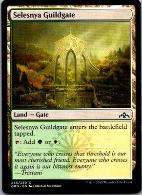 Selesnya Guildgate (255) 255 Common Guilds of Ravnica Magic: The Gathering LP