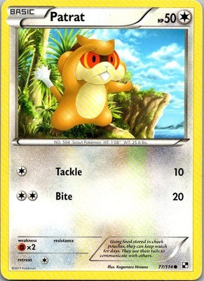 Patrat 77/114 Common Black & White Pokemon Heavily Played