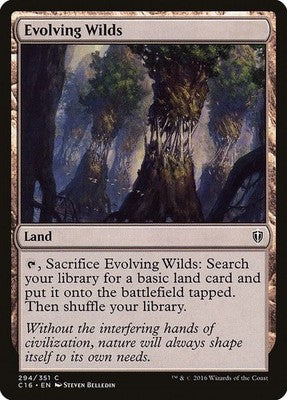 Evolving Wilds C16 294 NM Magic: The Gathering