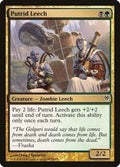 Putrid Leech DDM 51 NM Magic: The Gathering