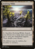 Evolving Wilds BFZ 236 NM Magic: The Gathering
