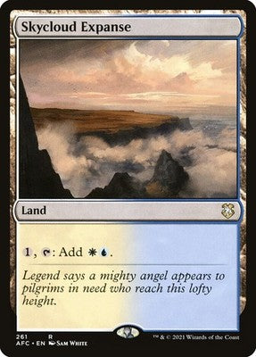 Skycloud Expanse AFC 261 NM Magic: The Gathering