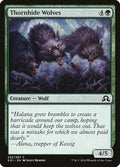 Thornhide Wolves SOI 232 NM Magic: The Gathering