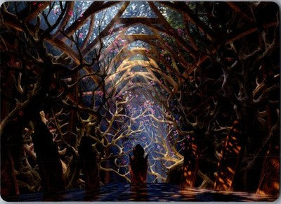 Skemfar Elderhall Art Card 73 Art Series: Kaldheim Magic: The Gathering NM