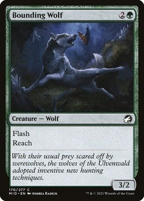Bounding Wolf MID 170 LP Magic: The Gathering
