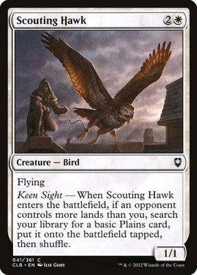 Scouting Hawk CLB 41 NM Magic: The Gathering