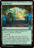 Wild Roads DFT 269 NM Magic: The Gathering