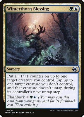 Winterthorn Blessing MID 251 LP Magic: The Gathering
