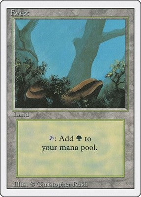 Forest 3ED 304 LP Magic: The Gathering
