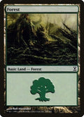 Forest TSP 298 LP Magic: The Gathering