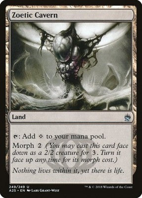 Zoetic Cavern A25 249 NM Magic: The Gathering