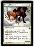Trained Caracal Return to Ravnica 27 C Magic: The Gathering Near Mint