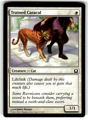 Trained Caracal Return to Ravnica 27 C Magic: The Gathering Near Mint