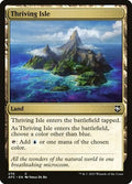 Thriving Isle AFC 270 NM Magic: The Gathering