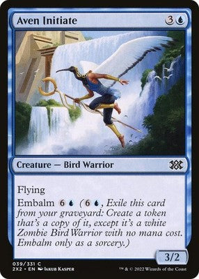 Aven Initiate 2X2 39 NM Magic: The Gathering