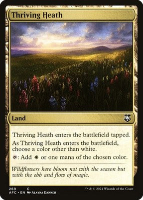 Thriving Heath AFC 269 NM Magic: The Gathering