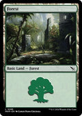 Forest MKM 286 NM Magic: The Gathering