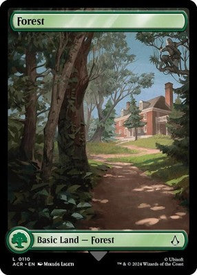 Forest ACR 110 NM Magic: The Gathering