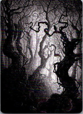 Forest Art Card (80/81) 80 Art Series: Innistrad: Midnight Hunt MTG NM