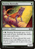 Basking Rootwalla UMA 156 NM Magic: The Gathering