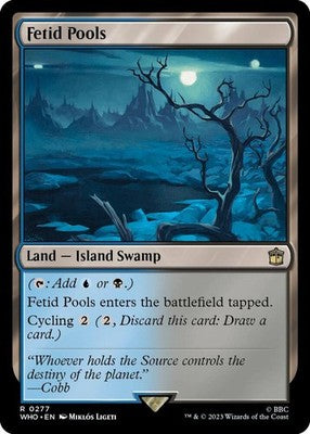 Fetid Pools WHO 277 NM Magic: The Gathering