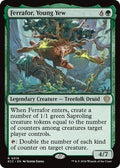 Ferrafor, Young Yew ECC 16 NM Magic: The Gathering
