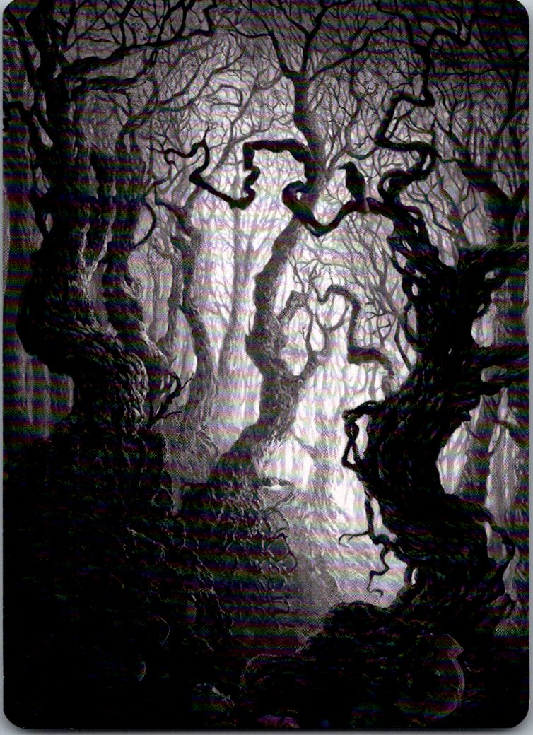 Forest Art Card (80/81) 80 Art Series: Innistrad: Midnight Hunt MTG NM