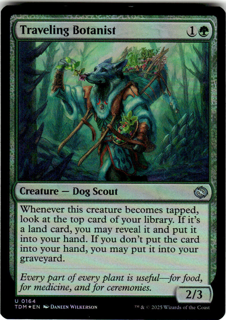 Traveling Botanist Tarkir: Dragonstorm 164 U Foil Magic: The Gathering Near Mint