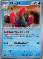 Wugtrio 043/187 Poke Ball Terastal Festival Pokemon Japanese Holo Near Mint