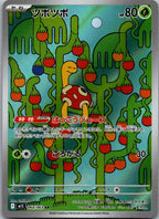 Shuckle 064/063 Art Rare Mega Symphonia Pokemon Japanese Near Mint