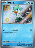 Quaxly 224/190 Shiny Shiny Treasure ex Pokemon Japanese Near Mint