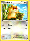 Patrat 77/114 Common Black & White Pokemon Heavily Played