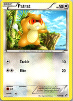 Patrat 77/114 Common Black & White Pokemon Heavily Played